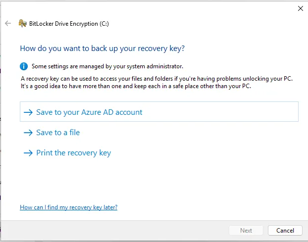 Image without caption